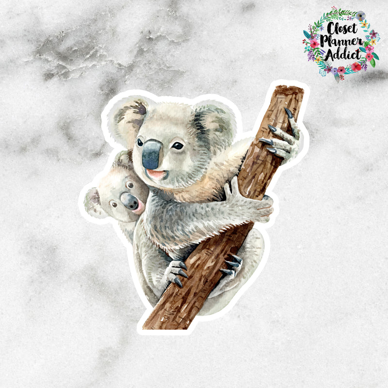 Koala Bears Die Cut Stickers (DC-011)