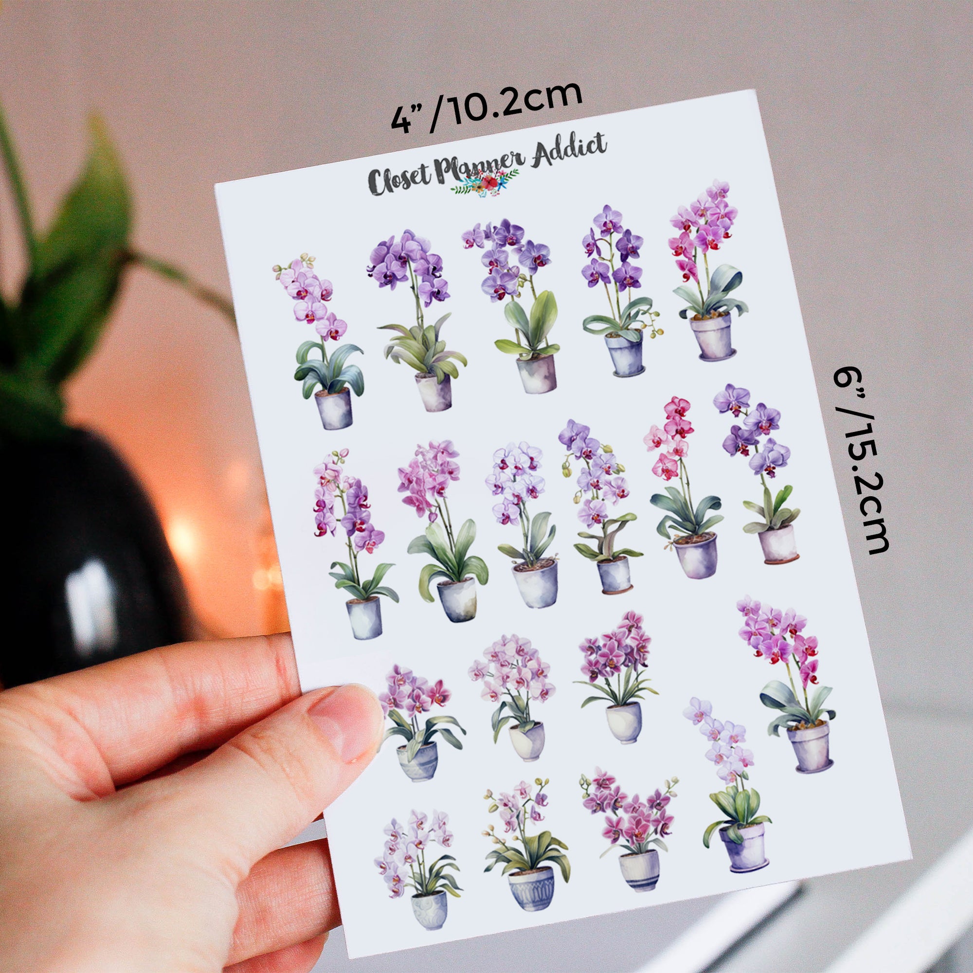 Orchids Planner Stickers by Closet Planner Addict (S-676)
