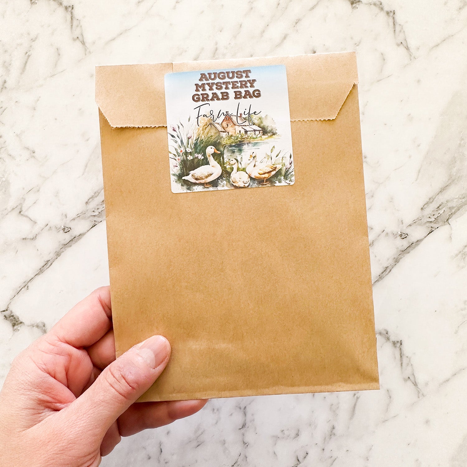 AUGUST 2023 MYSTERY GRAB BAGS by Closet Planner Addict | Farm Life