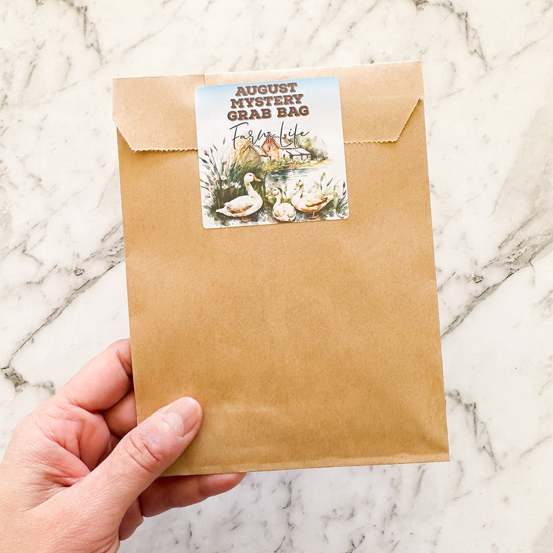 AUGUST 2023 MYSTERY GRAB BAGS by Closet Planner Addict | Farm Life