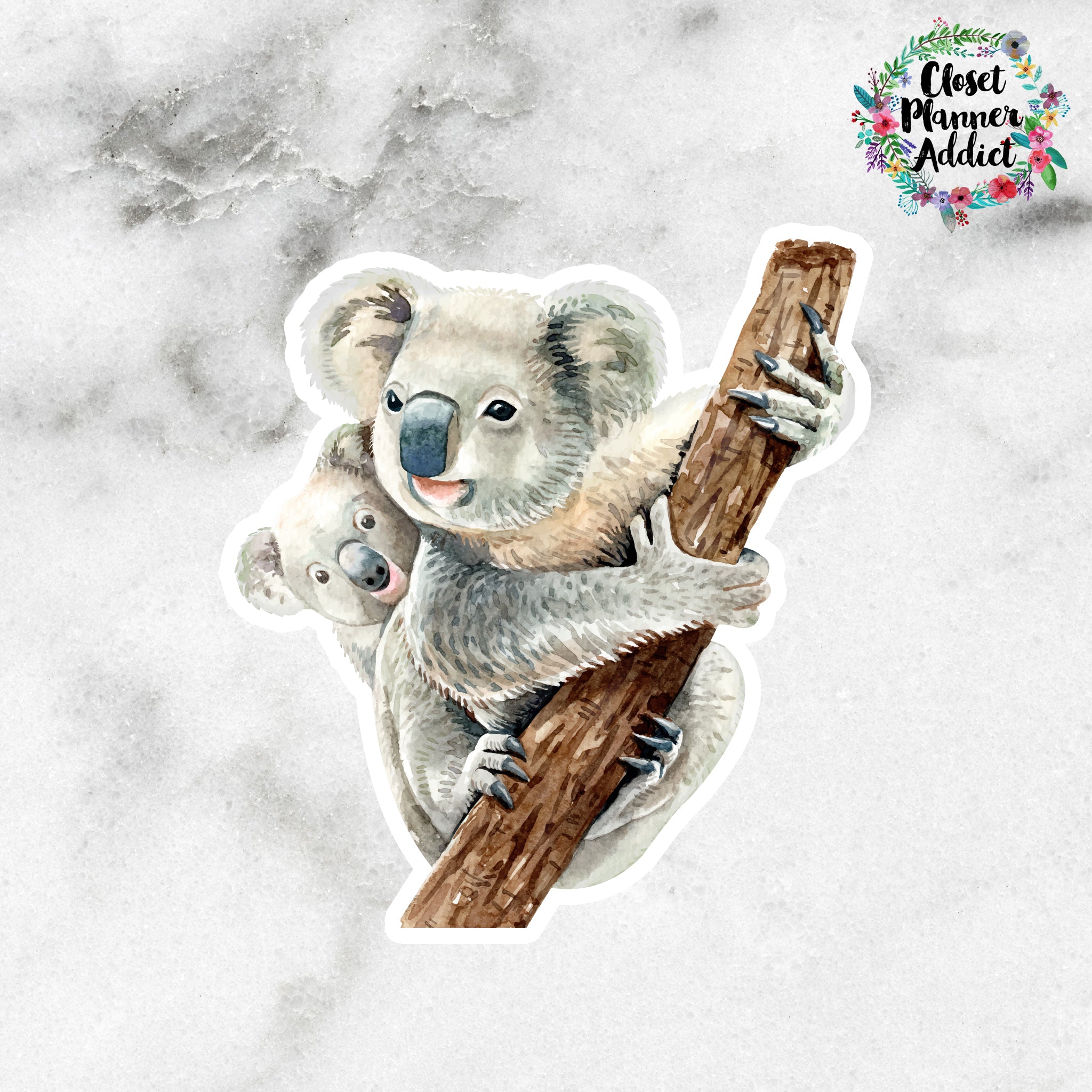 Koala Bears Die Cut Stickers (DC-011)