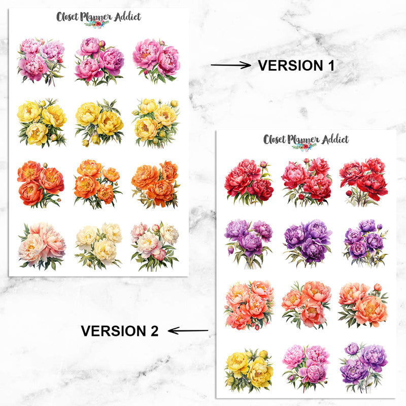 Watercolour Colourful Peonies Planner Stickers (MGB-NOV2023)