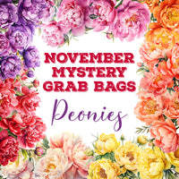 November 2023 Mystery Grab Bags by Closet Planner Addict  | Peonies