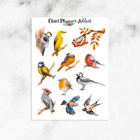 Watercolour Russian Birds Planner Stickers (S-233)