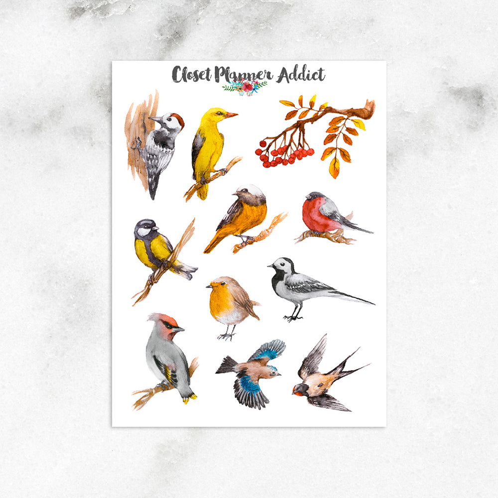 Watercolour Russian Birds Planner Stickers (S-233)