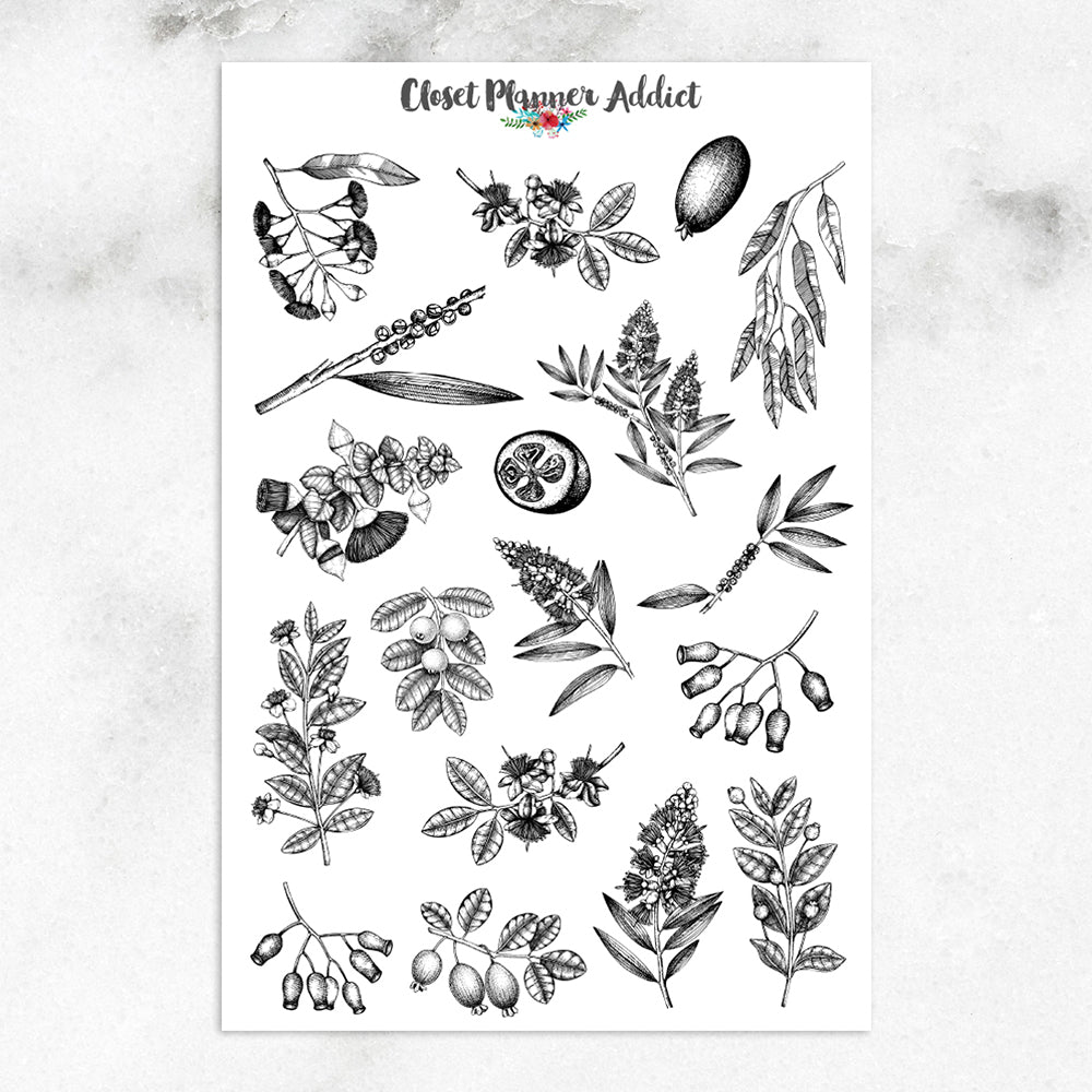Myrtle Plants Planner Stickers  | Australian Plants Stickers (S-403)