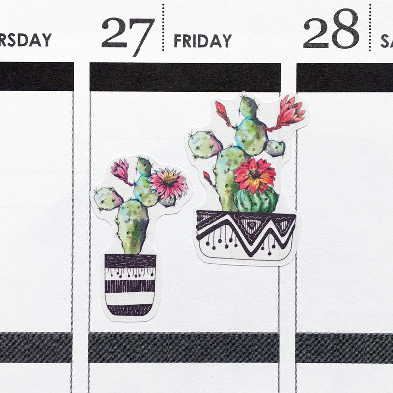 Cactus and Succulent Planner Stickers (S-417)