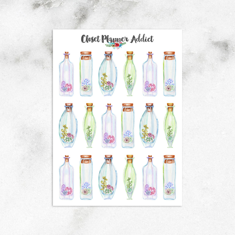 Watercolour Succulents in Terrariums Planner Stickers (S-432)