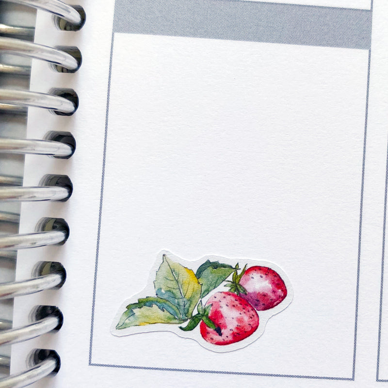 Watercolour Strawberries Stickers (S-462)