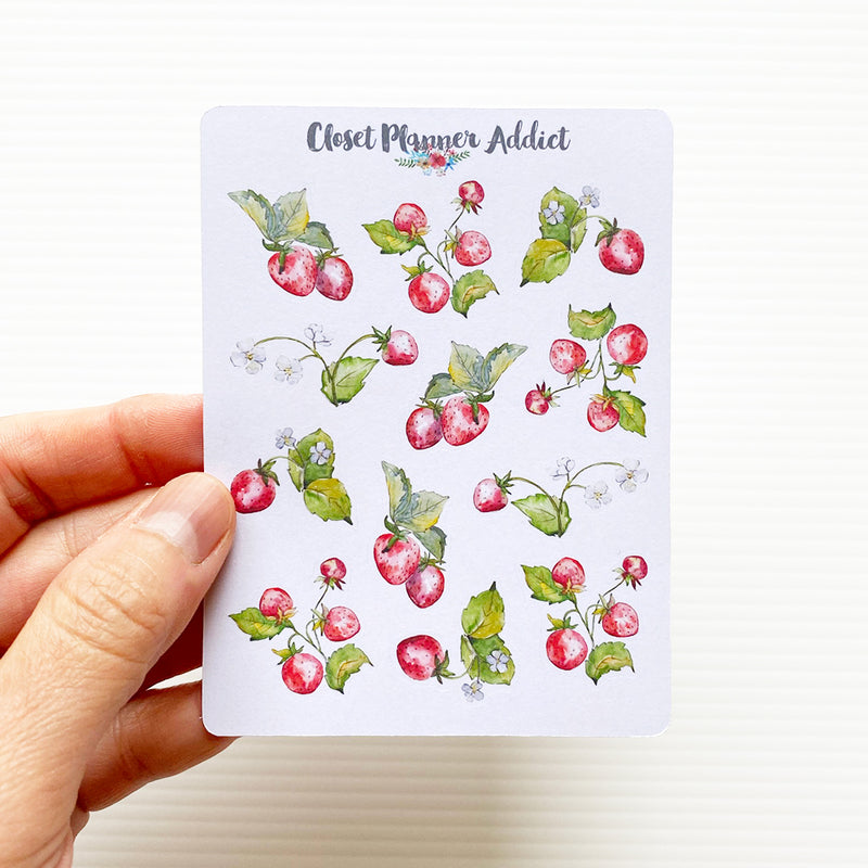 Watercolour Strawberries Stickers (S-462)