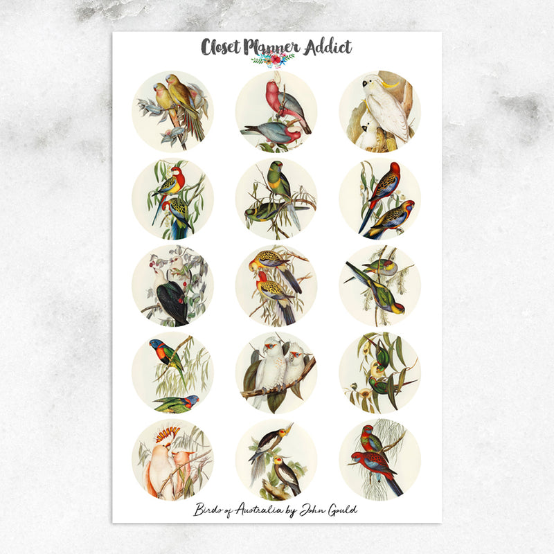 Vintage Birds of Australia Planner Stickers (S-476)