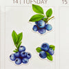 Blueberries Planner Stickers (S-509)
