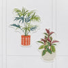 House Plant Planner Stickers (S-516)