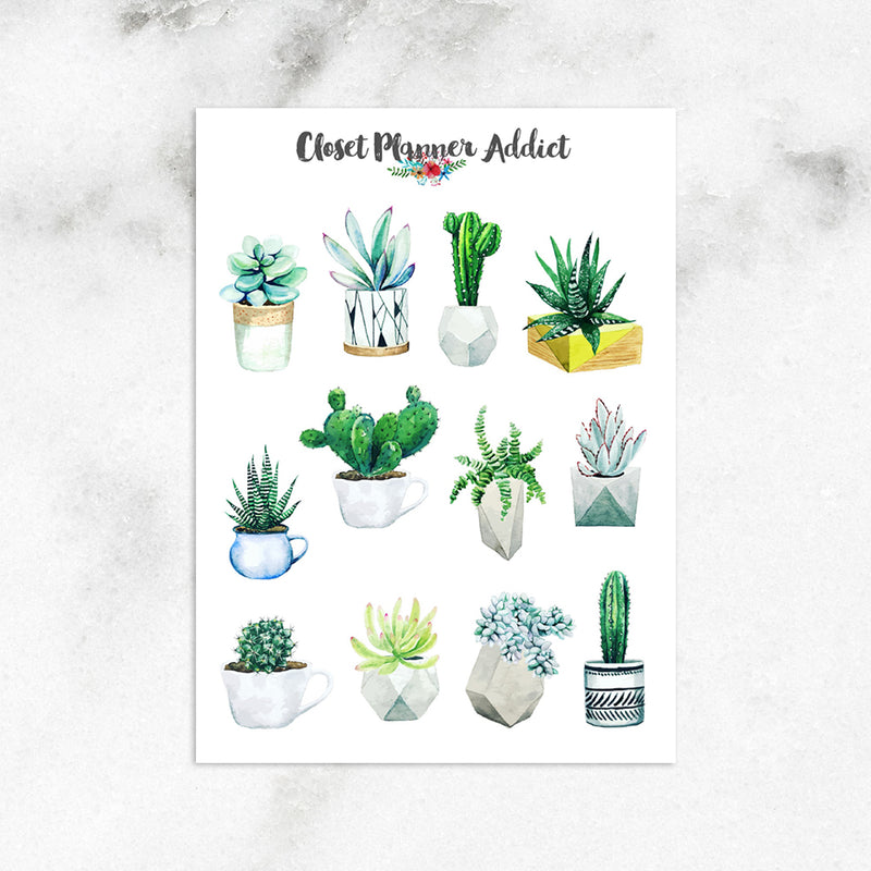 Watercolour Succulents Planner Stickers (S-564)