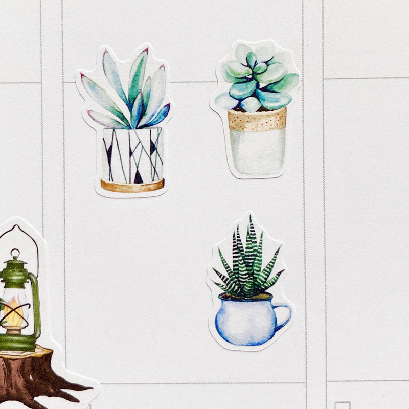 Watercolour Succulents Planner Stickers by Closet Planner Addict (S-564)