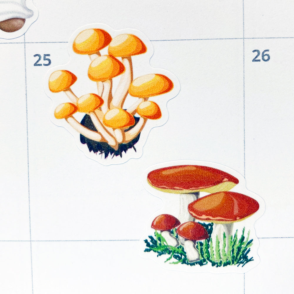 Colourful Mushrooms Planner Stickers by Closet Planner Addict (S-591)