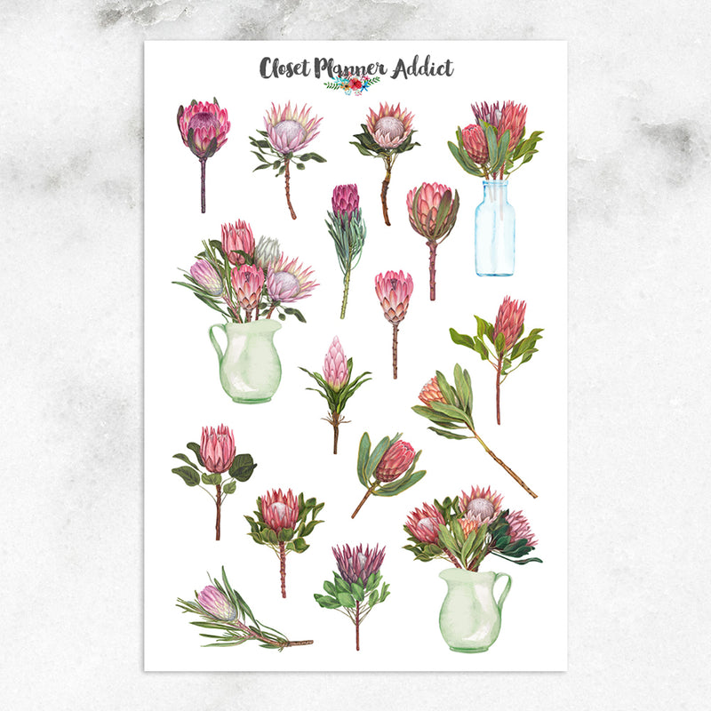 Protea Planner Stickers | Australian Flora Stickers (S-614)