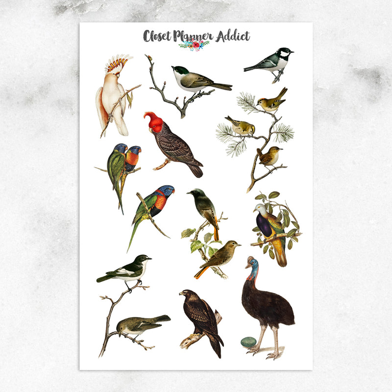 Australian Birds Planner Stickers (S-632)