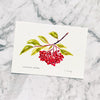 Cotoneaster Lacteus Postcard by Closet Planner Addict (PC-003)