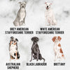 Watercolour Dogs Planner Stickers (S-325)