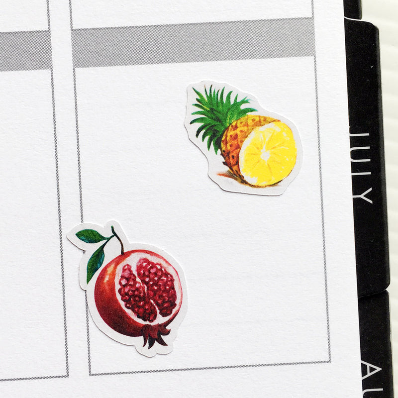 Watercolour Fruits Planner Stickers (S-335)