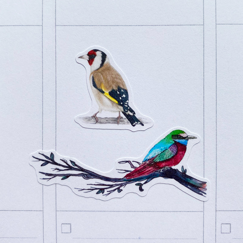 Colourful Birds Planner Stickers (MGB-NOV19)
