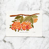 Auranticarpa Rhombifolia Postcard | Australian Flora Postcard by Closet Planner Addict (PC-014)