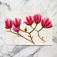 Magnolia Postcard by Closet Planner Addict | Australian Flora Postcard (PC-028)