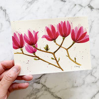 Magnolia Postcard by Closet Planner Addict | Australian Flora Postcard (PC-028)